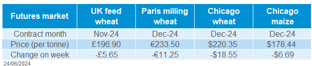 Global grain futures price table 24 06 2024